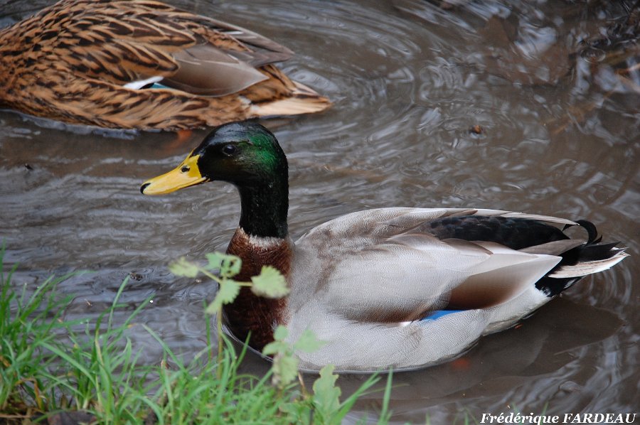 Oinville-sur-Monctient_Challenge-IDF_18012015